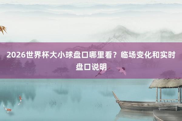 2026世界杯大小球盘口哪里看？临场变化和实时盘口说明